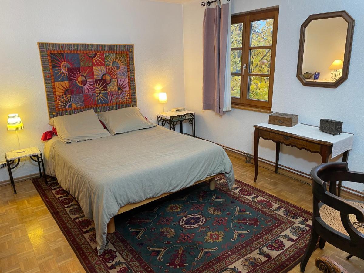 Chez Rosa Appartement Haguenau Buitenkant foto